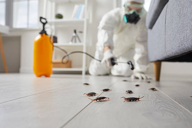 Trusted Fumigation Services service in Granville, IL - Nex Pest Control