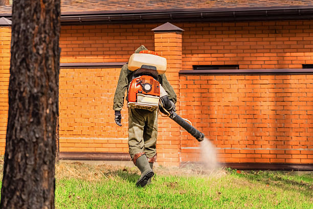 Trusted Mosquito Control service in Granville, IL - Nex Pest Control